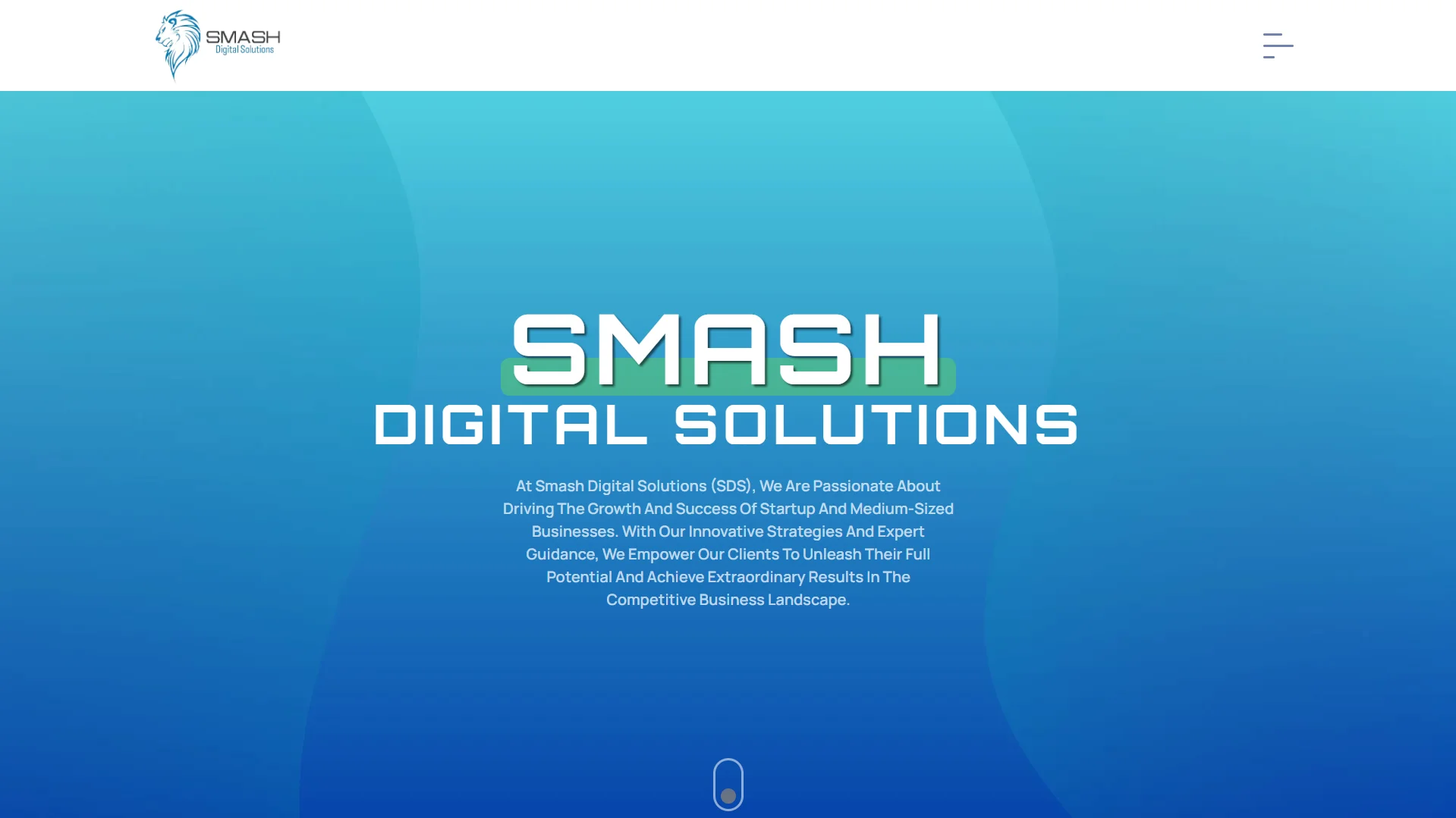 Smash Digital Solutions-image
